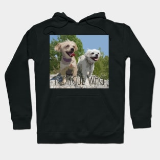 puppies outside Hoodie